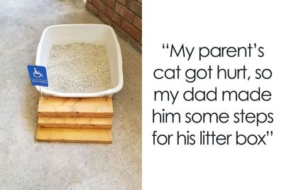 50 Funny And Wholesome Dads Who Nailed Fatherhood (New Pics)