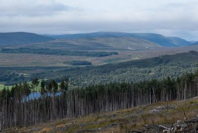 Appeal over 'Not Spot' mast could open floodgates to Scotland's wild areas