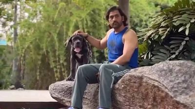 Watch: Ziva wishes MS Dhoni Happy Father's Day with adorable video