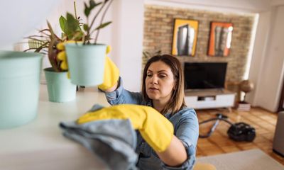 I hate cleaning my home. Can I do yours instead?