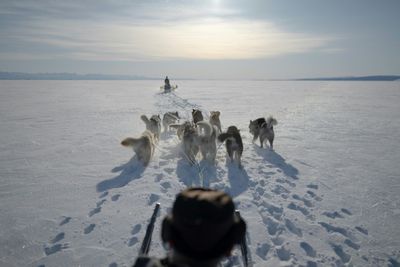 On Thin Ice: Greenland's Last Inuit Polar Bear Hunters