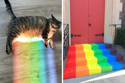 50 Amazing “Rainbow Everything” Pics Right In Time To Celebrate Pride Month