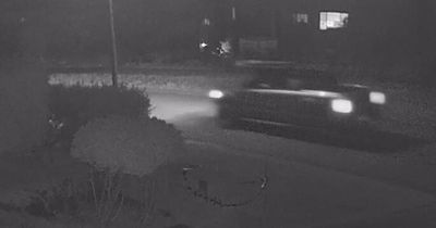 Do you recognise this ute? Police release footage in ATM theft investigation