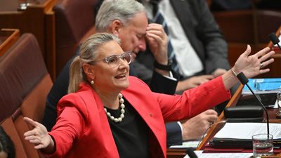 Menopause leave bad for women at work: Liberal senator