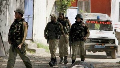 J&K: Police arrests Hizbul militant in Handwara