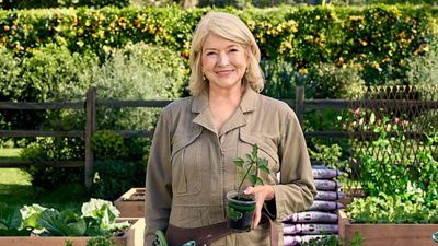 This staple vegetable is a summer 'highlight' in Martha Stewart's farm – and it proves that a little care goes a long way