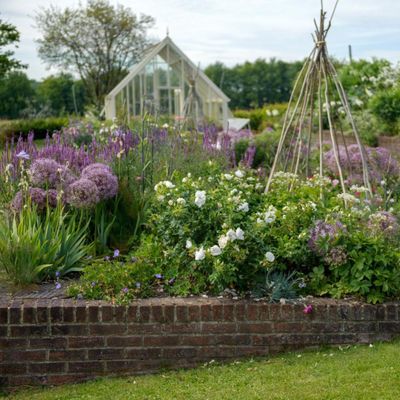 How to get rid of cabbage root flies - protect your vegetable patch from these pests