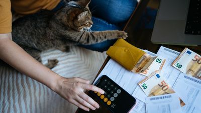 32 ways to save money as a cat owner