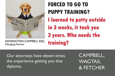 A Series Of Parody Ads For All The Dogs Seeking Attorney Services By Kensington Campbell (26 New Pics)
