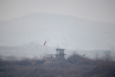 North Korean soldiers cross border, South Korea fires warning shots