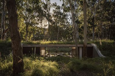 An Argentinian retreat in the forest allows nature and architecture to flow