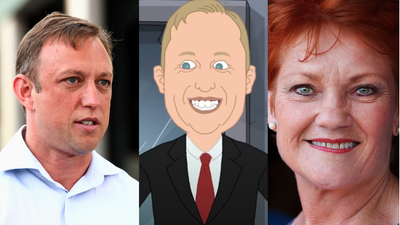 QLD Premier Slams Pauline Hanson’s Robert Irwin Cartoon: ‘Underlines How Irresponsible She Is’