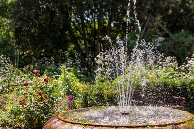 This Viral "Solar Panel Fountain" Turns Any Planter Into a Water Feature — And Costs Less Than $20