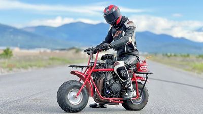 This CBR1000-Swapped Coleman Mini-Bike Is a Weird Way To Die