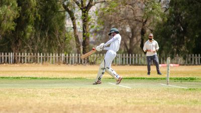 How English Willow From UK Forests Drive India's $12 Million Cricket Bat Industry