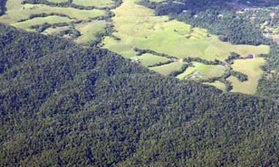Australian cattle industry says clearing bushland grown after 1990 should not count as deforestation