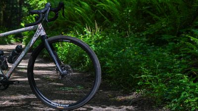 A Wilde-ly good gravel and bikepacking option: the Wilde Waypoint Adventure Fork reviewed
