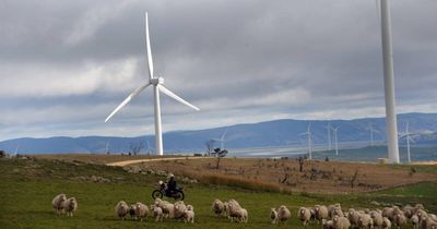 'A crock': why many Australians still aren't sold on wind and solar farms