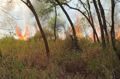 Fire at Kathlour Wildlife Sanctuary in Punjab's Pathankot