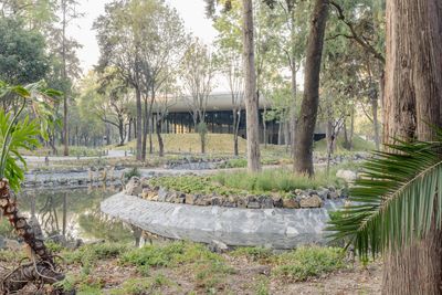 Scenic Garden offers architectural pavilions and a new green lung for Mexico City