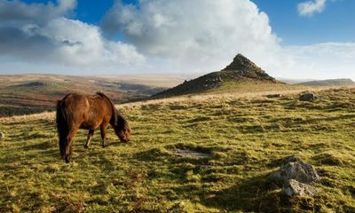 Sunak’s government has almost destroyed Natural England – just for doing its job