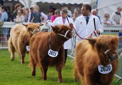 Everything you need to know about the Royal Highland Show as it returns for 2024