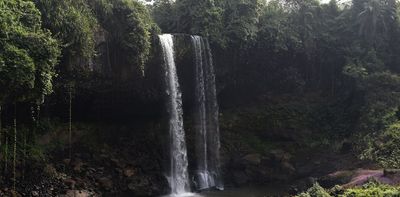 Nigeria’s mountain streams are a haven for special creatures – they need protection