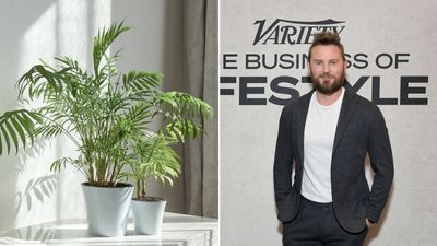 Bobby Berk's plant watering hack makes caring for your greenery even easier