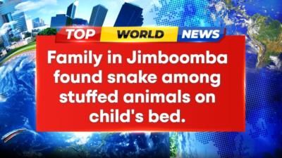 Poisonous Snake Found Among Stuffed Animals In Australian Child's Bed