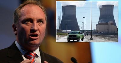 Barnaby Joyce, likely future Muswellbrook MP, backs Hunter nuclear reactor