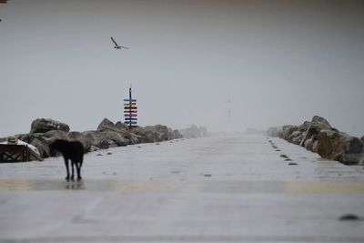 Alberto, season's first named tropical storm, dumps rain on Texas and Mexico, which reports 3 deaths