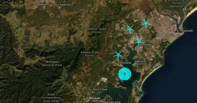 No quake, just questions: the Newcastle Herald asked them all