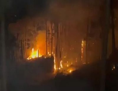 J-K: Fire in Bali-Tirchi forest range continues to rage, 2 houses gutted