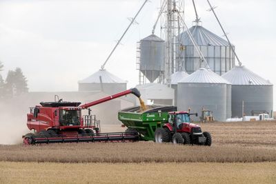 Economist suggests storing grain to prepare for next global emergency