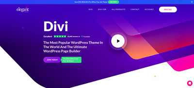 Divi AI website builder review 2024