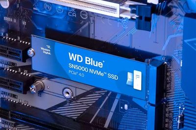 Western Digital Rolls Out Updated Budget WD Blue SN5000 SSDs, Adds 4TB Model