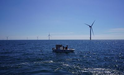 Beneath offshore wind turbines, researchers grow seafood and seaweed