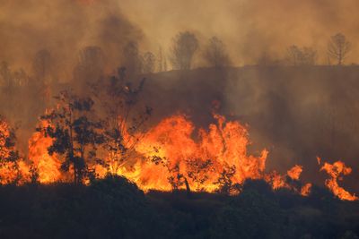 At least 11 killed in southeast Turkey wildfires