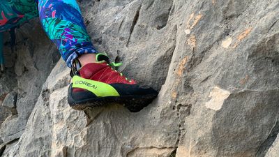 Types of rock climbing shoes: our expert guide