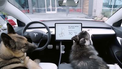 Some Tesla Owners Report Malfunctioning Dog Mode In New Update