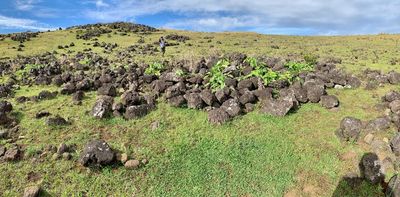 Rocks on Rapa Nui tell the story of a small, resilient population − countering the notion of a doomed overpopulated island