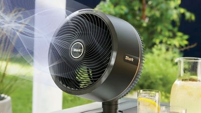 Shark FlexBreeze Fan review – about as perfect as a fan can be