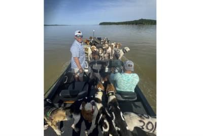 Heroic Rescue Saves 38 Exhausted Hound Dogs From Mississippi Lake