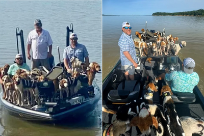 Shocked fishermen rescue 38 dogs they find treading water in Mississippi lake