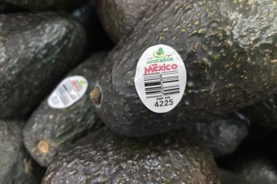 US To Gradually Resume Avocado And Mango Inspections In Mexico