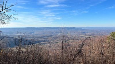 One of the biggest crimes committed in a national park is solved