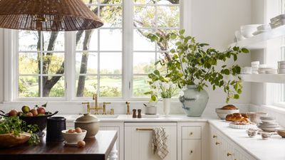 Kitchen Windows With Shelves — How Designers Use This Trick for Extra Storage and Style