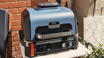 Ninja Woodfire Pro Connect XL review: a superb do-it-all outdoor appliance for enthusiasts and newbies alike