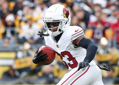 Cardinals WR Greg Dortch says it’s ‘crazy’ being almost veteran mentor