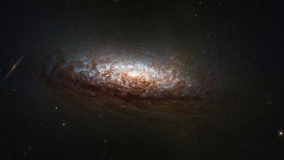 Space photo of the week: Hubble roars back to life with exquisite image of nearby galaxy